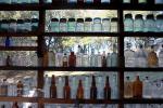 Glass Bottles, jars, shelves, Petaluma, ESAD01_047
