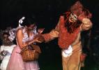 Wizard of Oz, Dorothy, Lion, Costume