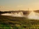 Water, Watering, irrigation, sprinklers, FAVD01_065