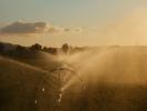 Water, Watering, irrigation, sprinklers, FAVD01_066