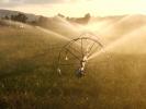 Water, Watering, irrigation, sprinklers, FAVD01_067
