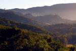 Hearthstone Vineyards, Adelaida, San Luis Obispo County, California, FAVD01_110