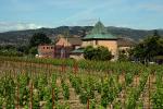 Springtime in Napa Valley, Vineyard Rows, Peju Winery, Rutherford, FAVD01_146