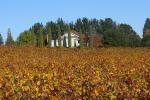 autumn, fall colors, building architecture, winery, Sebastopol, Sonoma County, FAVD01_163