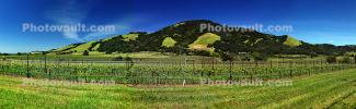 Bennett Valley, Sonoma County, California, Panorama, FAVD01_201