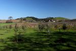 Paso Robles Wine Country, FAVD01_227