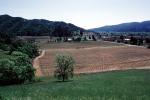 Rows, hills, mountains, Calistoga, FAVV01P15_01
