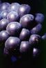 Red Grapes, Grape Cluster, FAVV03P10_06