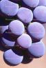 Red Grapes, Grape Cluster, close-up, FAVV03P14_05B