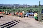 Ford, Tractor, trailer, Coachella Valley, California, Dry Creek Valley, Sonoma County, FAVV04P12_03