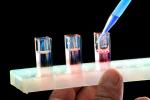 Laboratory, wine testing, Test Tubes, eyedropper, FAWV01P09_17B