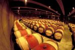 Oak Wine Barrels, Oak Aging barrels, Wood, Wooden Barrels, Fermenting Tanks, FAWV01P14_06