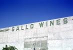 Gallo Wines, FAWV01P15_06