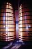 Oak Aging barrels, distillery barrels , FAWV02P01_03