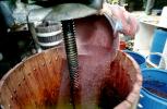 Oak Wine Barrels, press, crusher, FAWV02P03_10