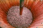 Oak Wine Barrels, press, crusher, FAWV02P03_14