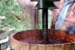 Oak Wine Barrels, press, crusher, FAWV02P03_16