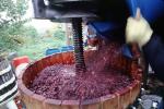 Oak Wine Barrels, press, crusher