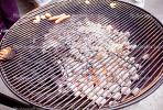 Charcoal, Meat, Steak, BBQ, Barbecue, Hot Dogs, Grill, FDNV02P08_12