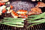 Meat, Steak, Chicken, Asparagus, Vegetables, Shish-Ka-Bob, Salmon, BBQ, FDNV02P09_04