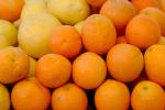 Orange, Grapefruit, FGAV01P06_03.0944