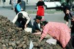 Women, Potato, Men, Samarkand, Uzbekistan, FGAV02P06_07