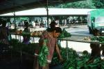 Rabaul, Papua New Guinea, Open Air Market, FGDV01P02_02