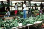 Open Air Market, Rabaul, Papua New Guinea, FGDV01P02_06