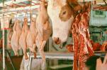 Meat, Hanging Cow Head, Chicken, Poultry, Crete, Greece, FGEV01P03_17