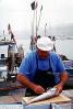 Fish, Seafood, Cleaning, Man, Fisherman, Marseille, France, FGEV01P08_04