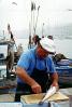 Fish, Seafood, Cleaning, Man, Fisherman, Marseille, France, FGEV01P08_05