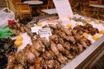 Oyster, Seafood, Ice, Arles, France