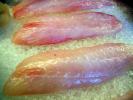 Raw Fish Steaks, Fillet, FGND01_016