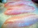 Raw Fish Steaks, Fillet, FGND01_017