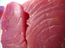 Raw Tuna Fish Steaks, Sushi, Fillet, Meat, FGND01_019