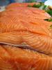 Raw Salmon Fish Steaks, Fillet, FGND01_022