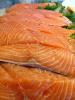 Raw Salmon Fish Steaks, Fillet, FGND01_023