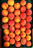 Peaches, texture, FGND01_058