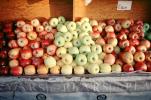 Apples, texture, background, FGNV02P11_02