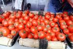 Vine Tomatoes, Farmers Market, FGNV02P13_12