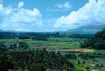 Rice Fields, Hills, Island of Bali, FMAV01P04_03.0946