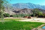 Afghanistan, Fields, Farming, FMAV02P01_10.0838
