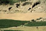 Afghanistan, Fields, Farming, FMAV02P01_15