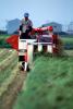 Harvesting, Harvester, Mechanized Farming, FMAV02P04_12