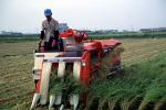 Harvesting, Harvester, Mechanized Farming