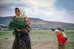 Woman, Harvesting, Turkey, FMAV02P08_02