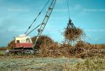 Crane, Sugar Cane, Crawler, Sugercane, Tractor, Mechanized Farming, Machine, Heavy Equipment, 1950s