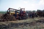 Sugercane, Tractor, Mechanized Farming, Machine, Heavy Equipment