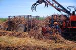 Sugercane, Tractor, Mechanized Farming, Machine, Heavy Equipment, FMBV01P02_07.0947