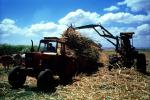 Tractor, mechanized farming, sugarcane